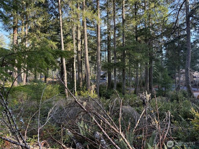 40 E Paint Brush Lane, Union, WA 98592