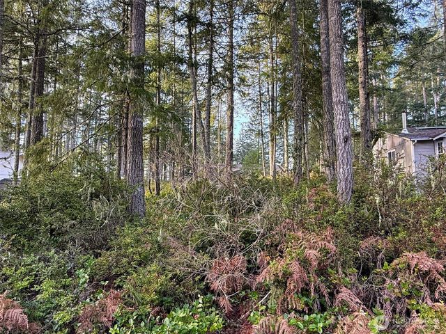 40 E Paint Brush Lane, Union, WA 98592