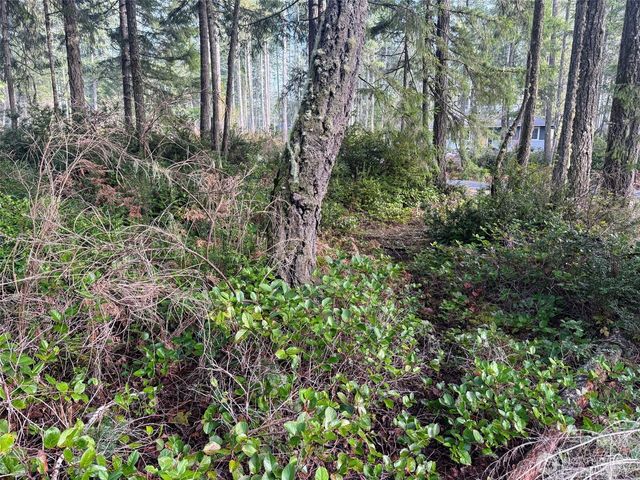 40 E Paint Brush Lane, Union, WA 98592