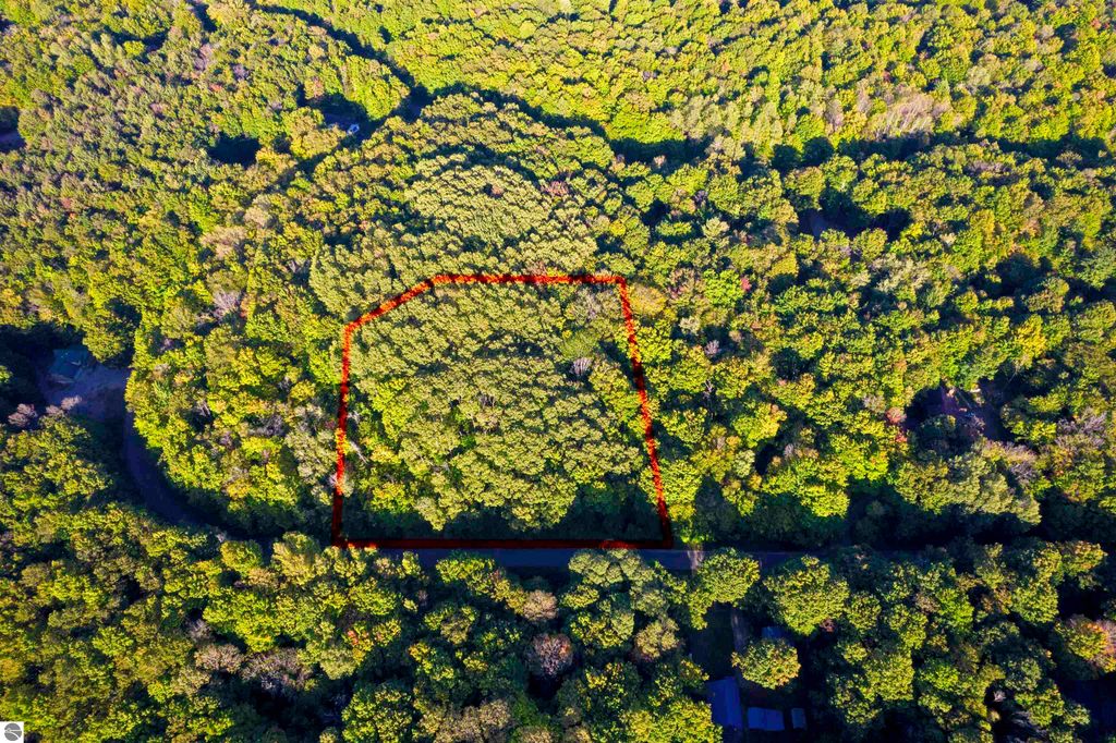 Image 1 of property listing at V/L Forestgrove Drive, Elmira, MI 49730