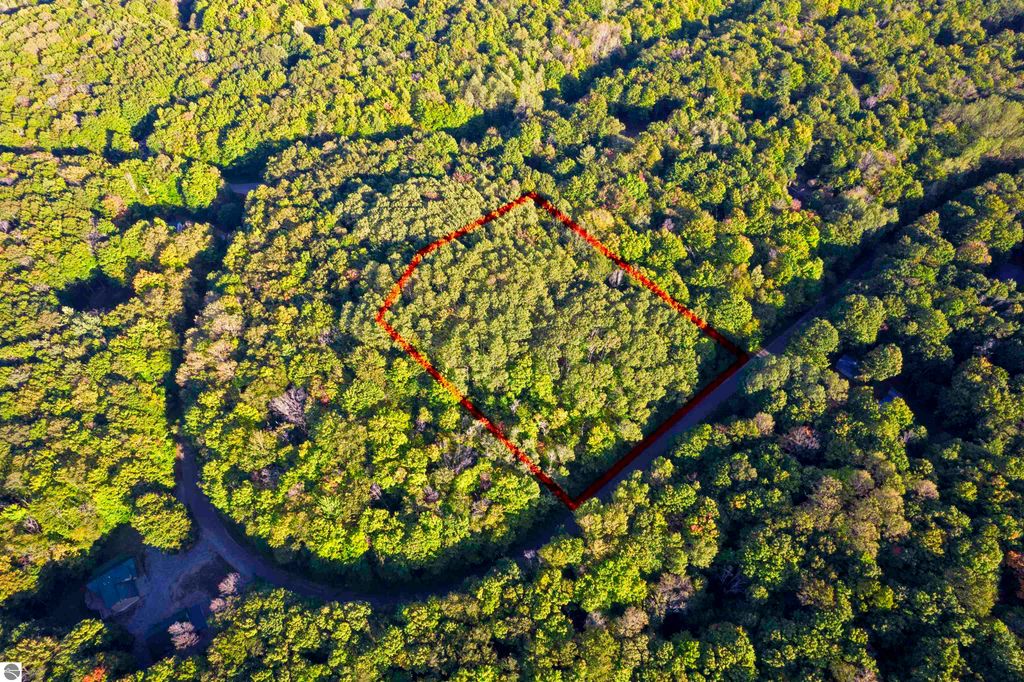 Image 10 of property listing at V/L Forestgrove Drive, Elmira, MI 49730