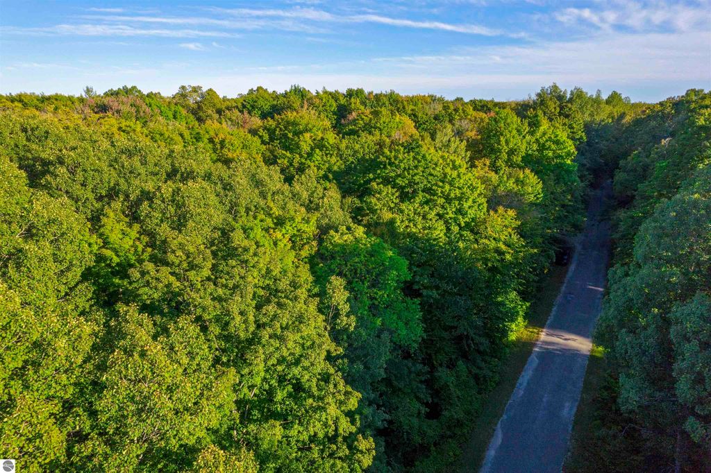 Image 11 of property listing at V/L Forestgrove Drive, Elmira, MI 49730