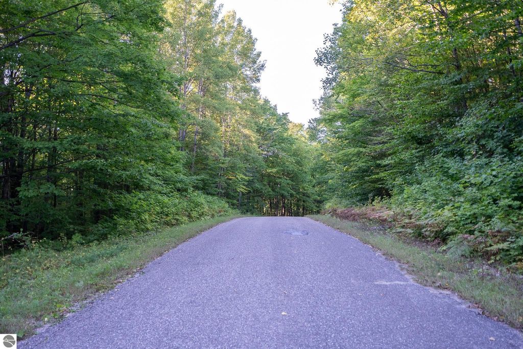 Image 12 of property listing at V/L Forestgrove Drive, Elmira, MI 49730