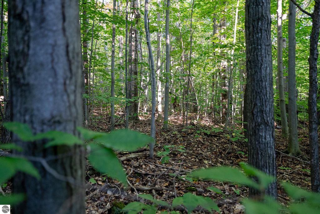 Image 2 of property listing at V/L Forestgrove Drive, Elmira, MI 49730