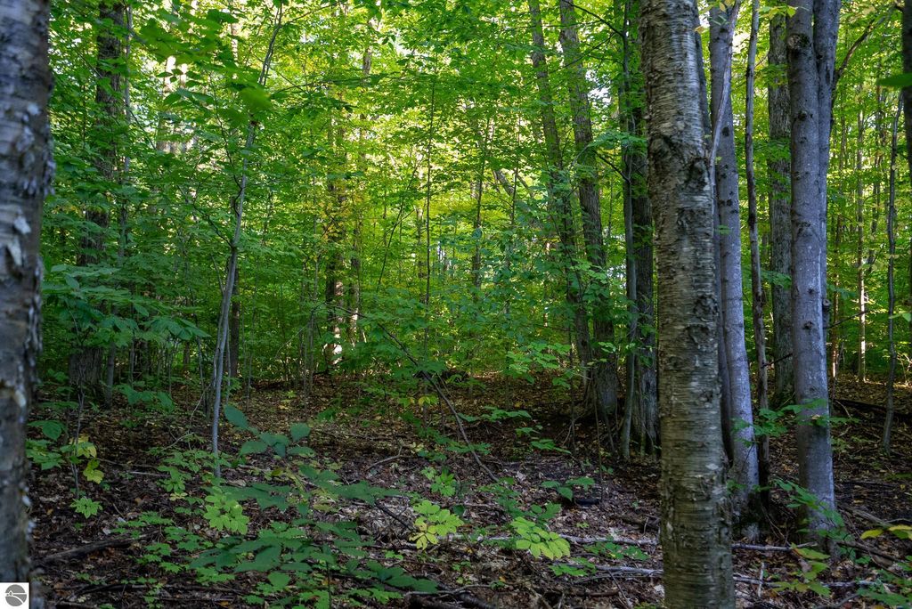 Image 21 of property listing at V/L Forestgrove Drive, Elmira, MI 49730