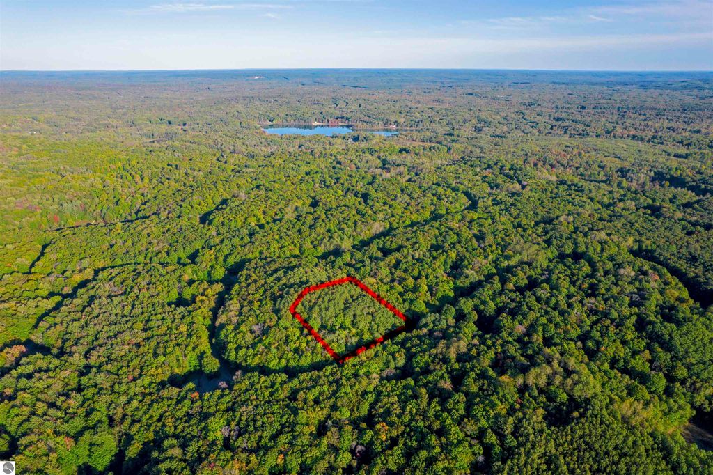 Image 3 of property listing at V/L Forestgrove Drive, Elmira, MI 49730