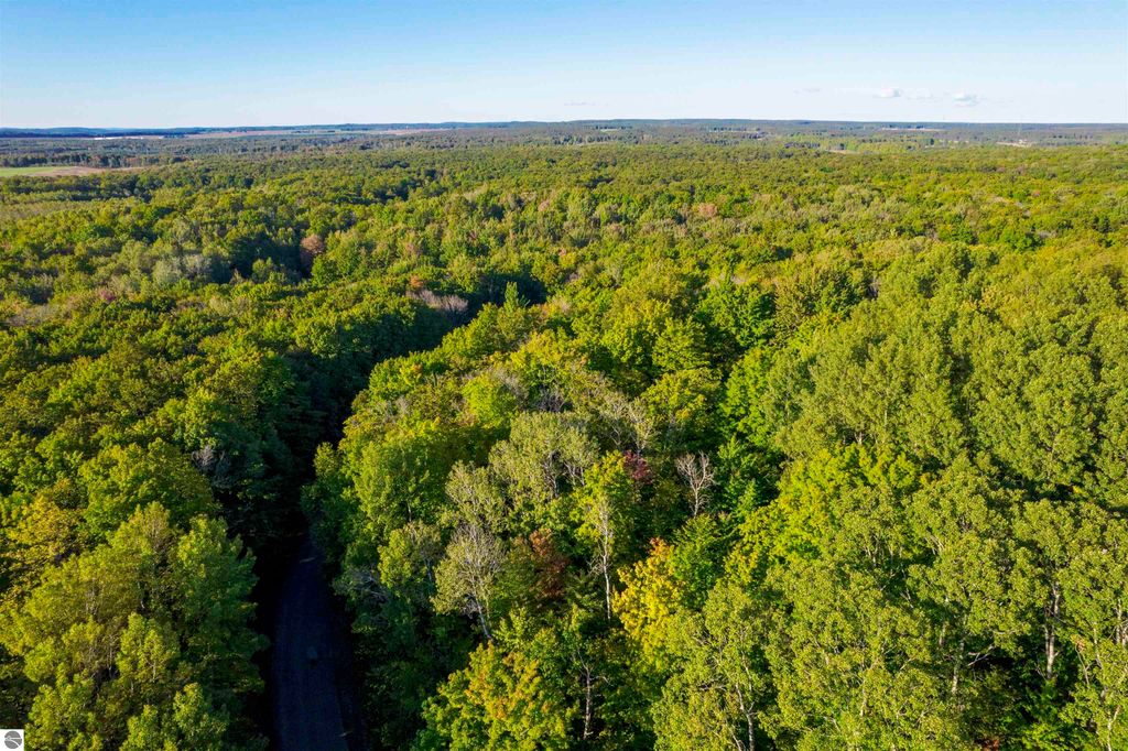 Image 8 of property listing at V/L Forestgrove Drive, Elmira, MI 49730