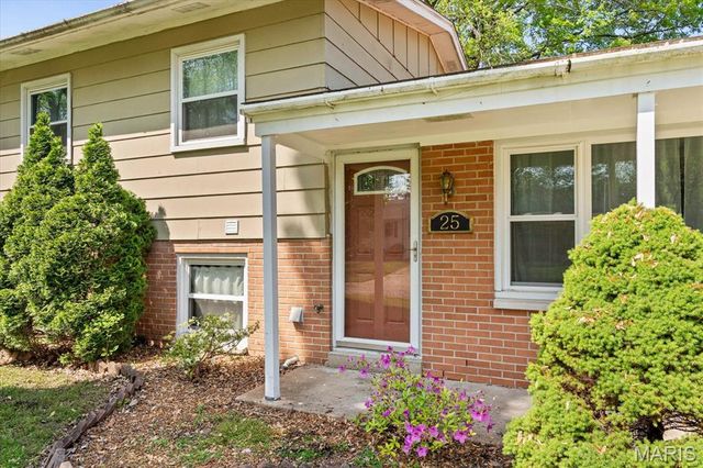 25 Village Drive, Swansea, IL 62226