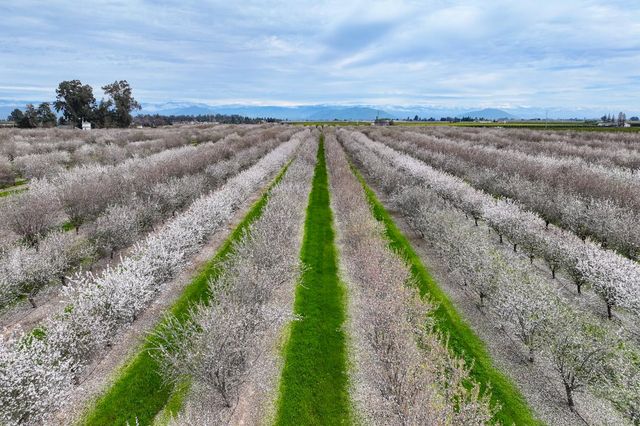 10847 E Belmont Avenue, Sanger, CA 93657