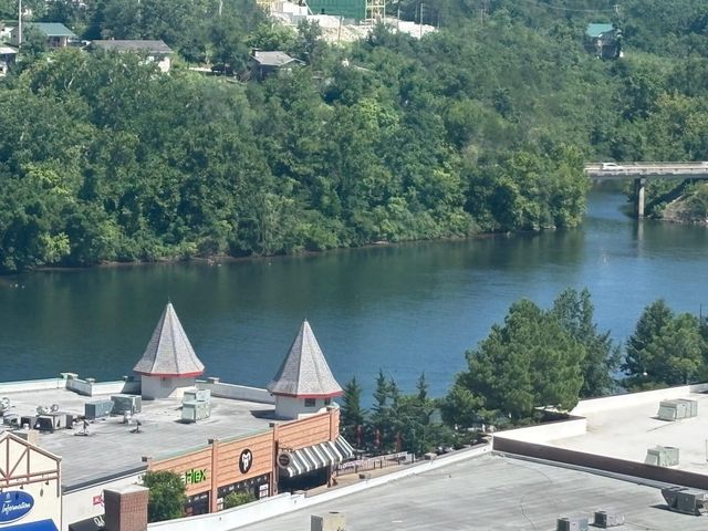 200 S Sycamore Street 1213, Branson, MO 65616