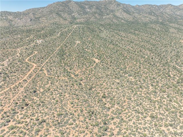 0 Green Tree, Hackberry, AZ 86411