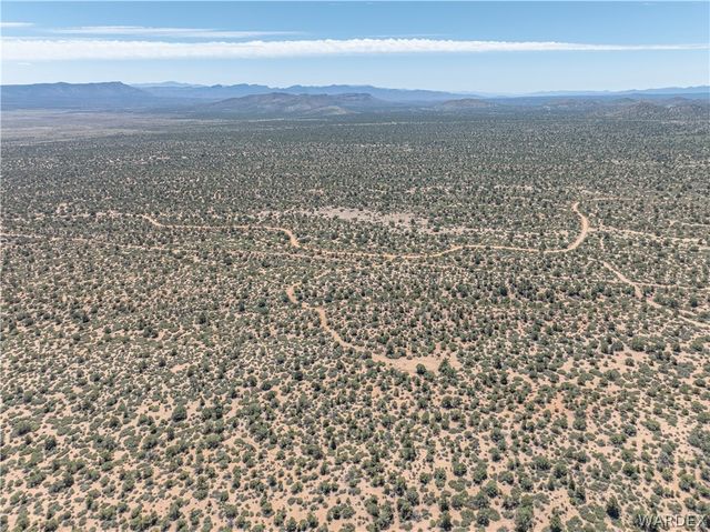 0 Green Tree, Hackberry, AZ 86411