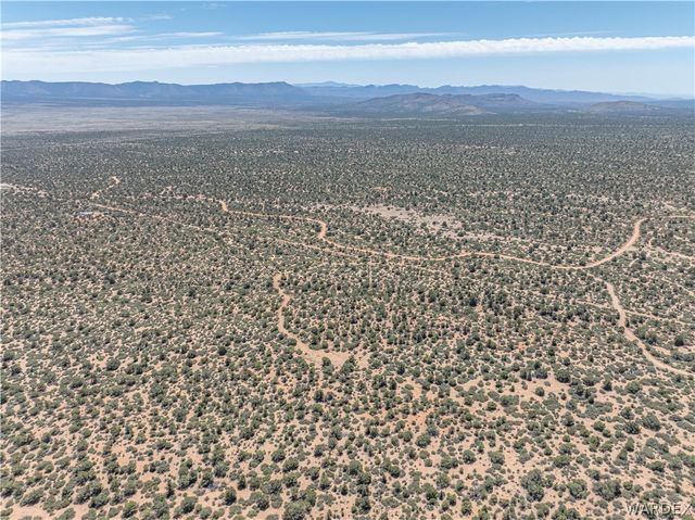 0 Green Tree, Hackberry, AZ 86411