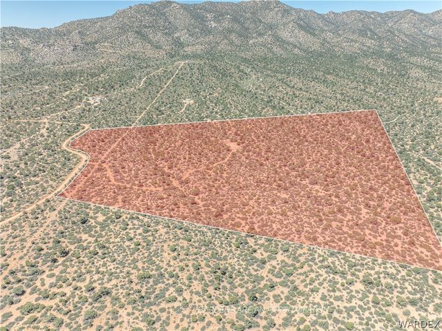 0 Green Tree, Hackberry, AZ 86411