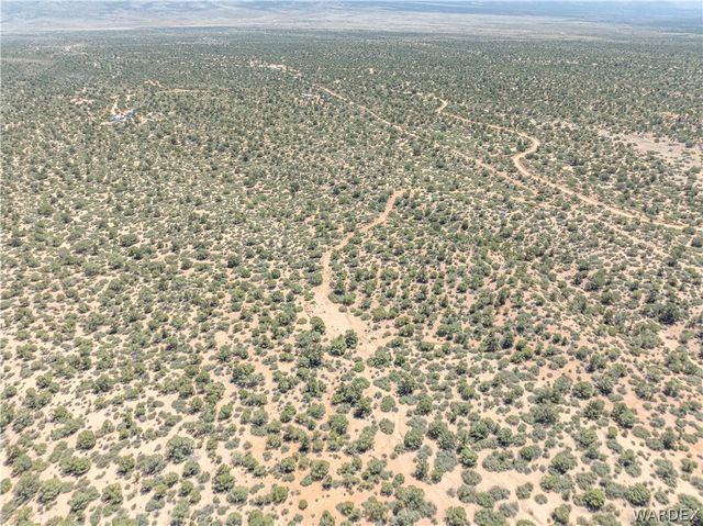 0 Green Tree, Hackberry, AZ 86411