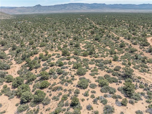 0 Green Tree, Hackberry, AZ 86411