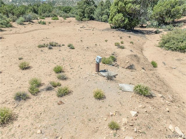 0 Green Tree, Hackberry, AZ 86411