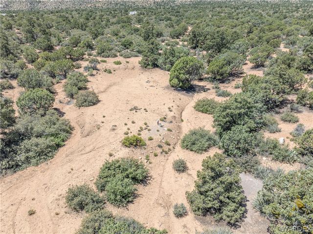 0 Green Tree, Hackberry, AZ 86411