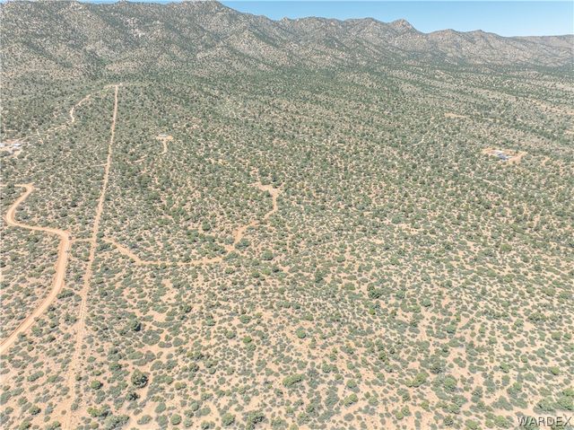 0 Green Tree, Hackberry, AZ 86411