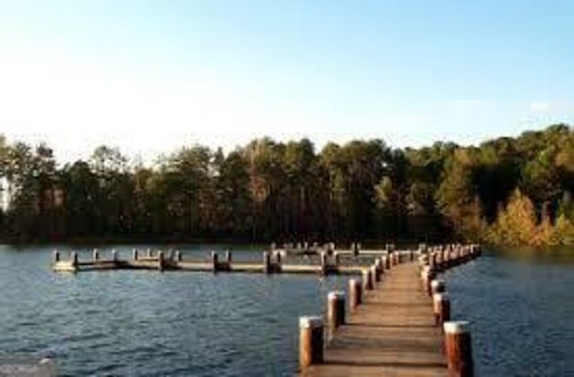 114 Vivian Lane, Peachtree City, GA 30269