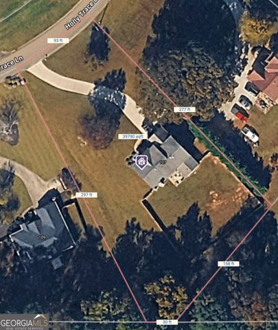 107 Hollytrace Lane, Ball Ground, GA 30107