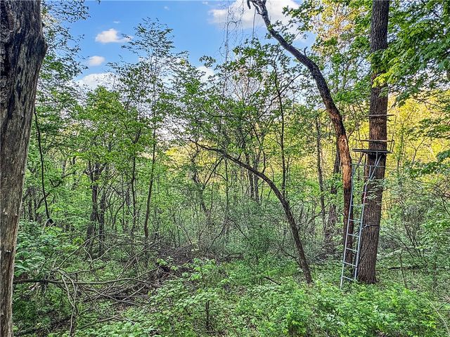 W US 62 Highway, Eureka Springs, AR 72631