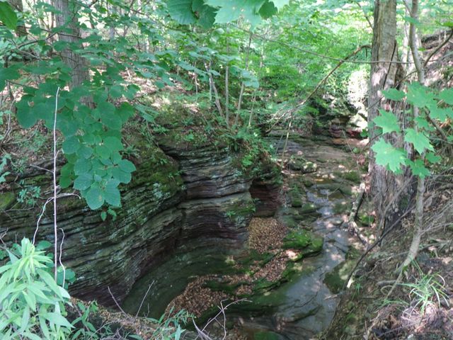 1303 E Park Ave, Mansfield, OH 44905