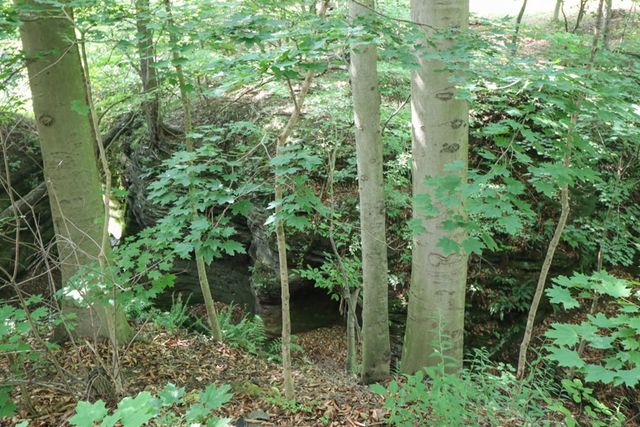 1303 E Park Ave, Mansfield, OH 44905