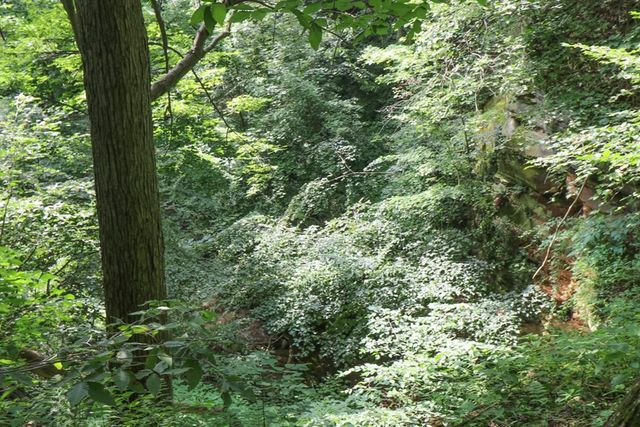 1303 E Park Ave, Mansfield, OH 44905