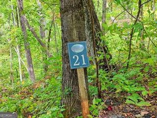 LOT 21 Skyview Overlook, Hayesville, NC 28904