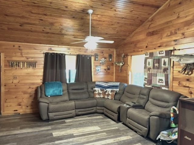 3160 Pinnacle Mtn Road, Harrison, AR 72601