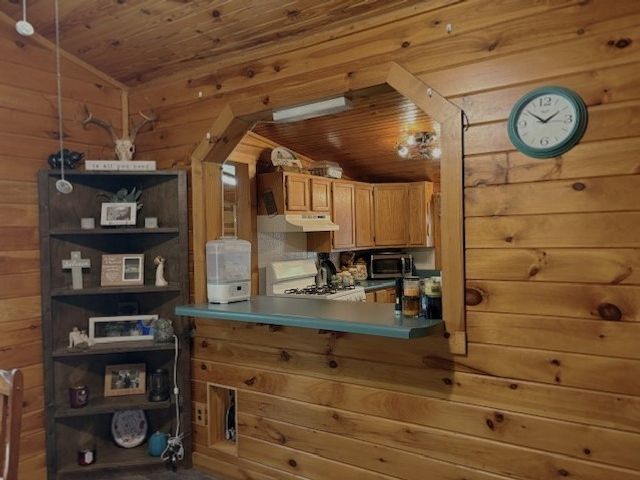 3160 Pinnacle Mtn Road, Harrison, AR 72601