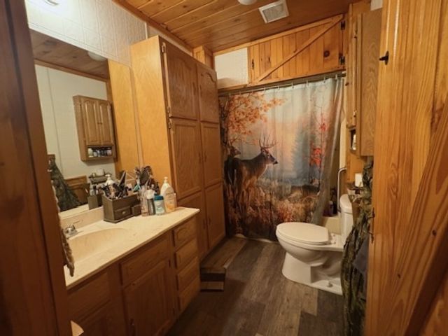 3160 Pinnacle Mtn Road, Harrison, AR 72601