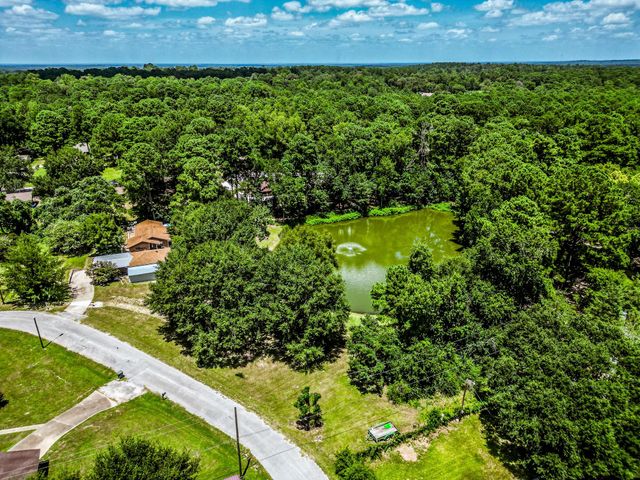 2217 Shannon Drive, Huntsville, TX 77320