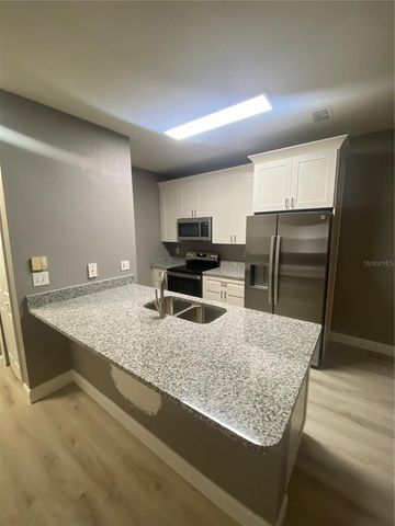 16205 ENCLAVE VILLAGE DRIVE 102, Tampa, FL 33647