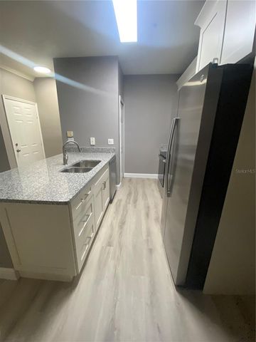 16205 ENCLAVE VILLAGE DRIVE 102, Tampa, FL 33647