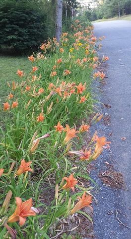 11 Webquish Lane, Mashpee, MA 02649