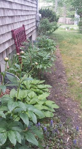 11 Webquish Lane, Mashpee, MA 02649