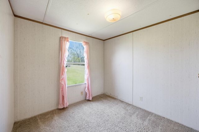 375 N Rays Fork Road, Sadieville, KY 40370