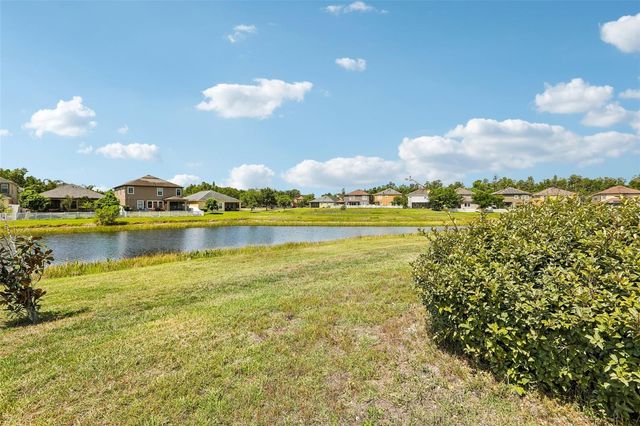 19417 PADDOCK VIEW DRIVE, Tampa, FL 33647