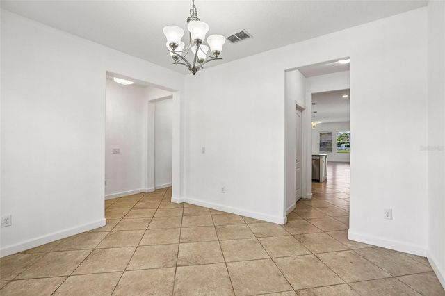 19417 PADDOCK VIEW DRIVE, Tampa, FL 33647
