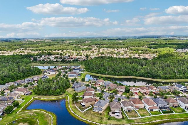 19417 PADDOCK VIEW DRIVE, Tampa, FL 33647