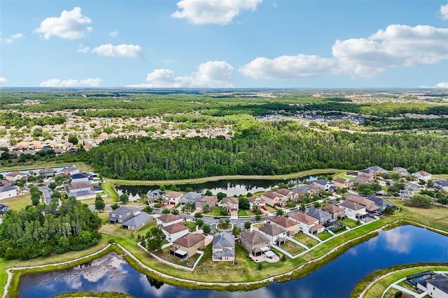 19417 PADDOCK VIEW DRIVE, Tampa, FL 33647