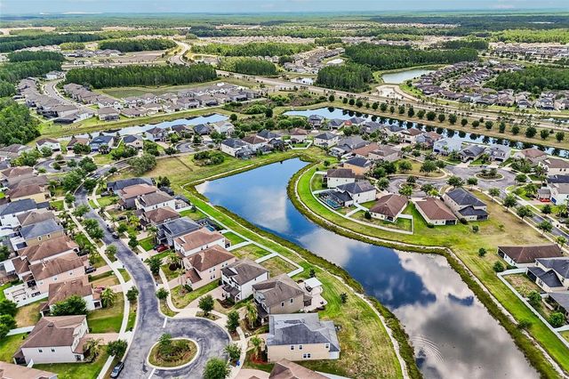 19417 PADDOCK VIEW DRIVE, Tampa, FL 33647