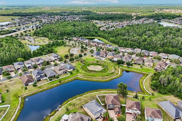 19417 PADDOCK VIEW DRIVE, Tampa, FL 33647