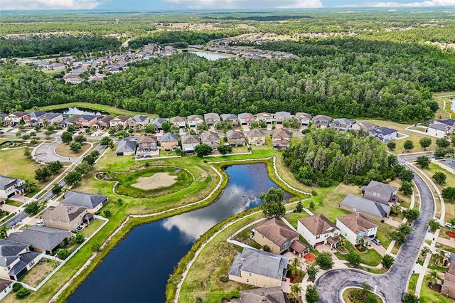 19417 PADDOCK VIEW DRIVE, Tampa, FL 33647