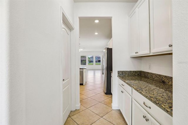 19417 PADDOCK VIEW DRIVE, Tampa, FL 33647