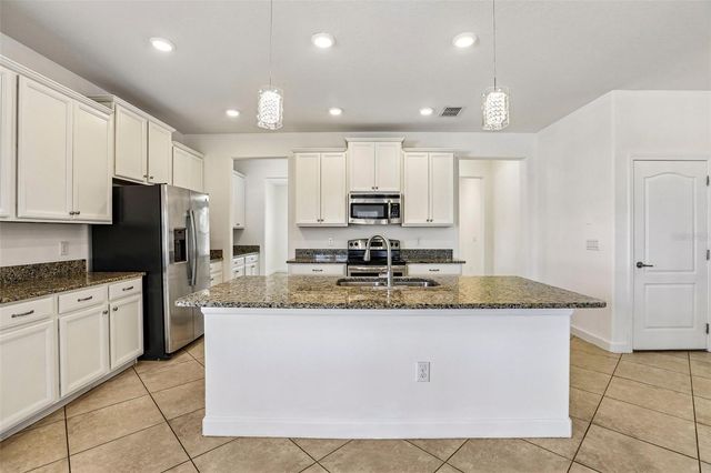 19417 PADDOCK VIEW DRIVE, Tampa, FL 33647