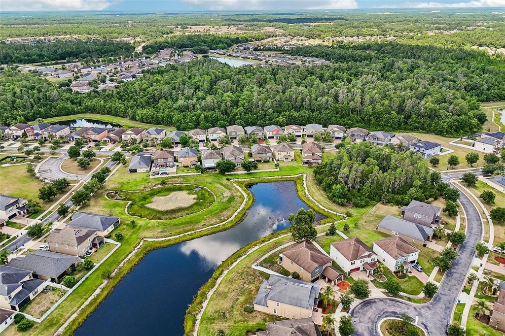 Image 59 of property listing at 19417 PADDOCK VIEW DRIVE, Tampa, FL 33647