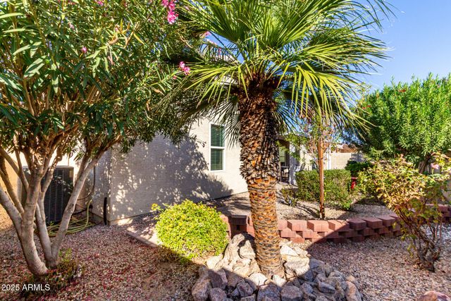1423 E PEACH TREE Drive, Chandler, AZ 85249